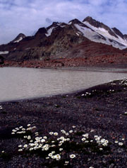 Schcheldas Gletscher