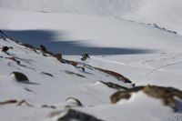resort Prielbrusye::heli-skiing