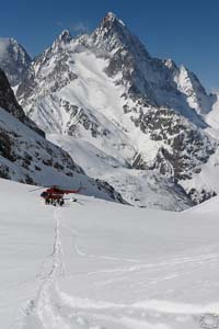 heli-ski