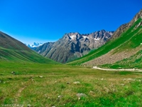 valley Irik-Chat
