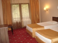 Hotel Gala Plaza::Standard Twin