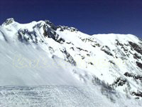 resort Alpika-Service:: freeride fields