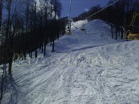 resort Alpika-Service::3rd line
