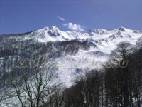 resort Alpika-Service::lower tracks