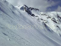 resort Alpika-Service:: freeride fields