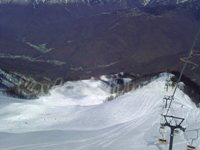 resort Alpika-Service::upper tracks